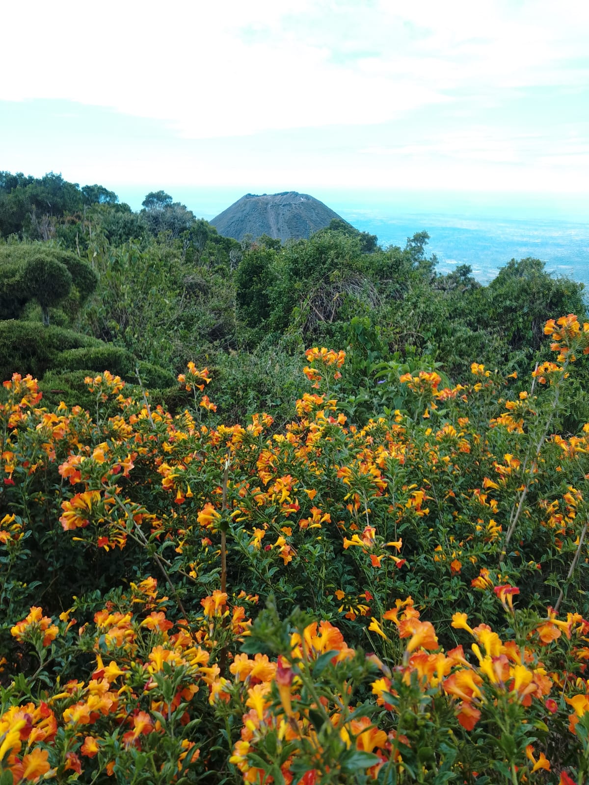 Izalco volcano cone rising above the western highlands of El Salvador