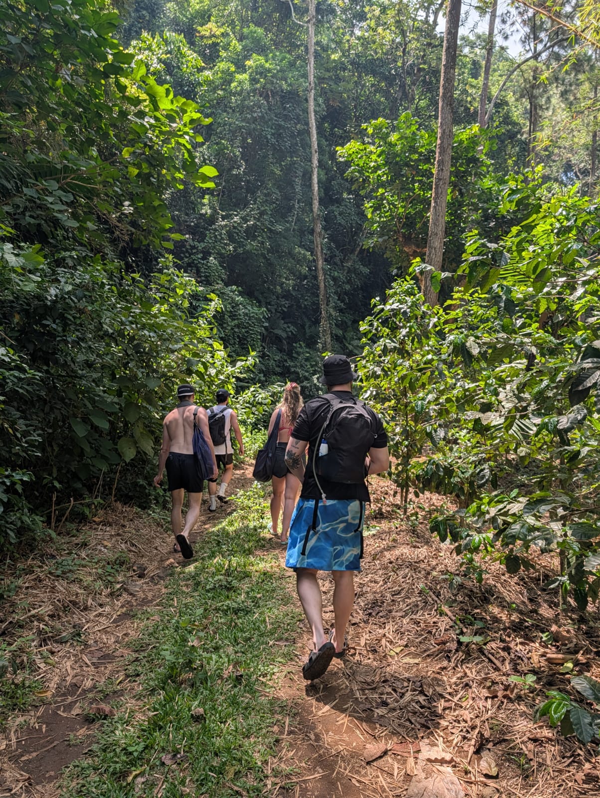 Coffee Culture in El Salvador: From Bourbon to Cup of Excellence